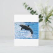 Carte Postale Orca Killer Whale (Debout devant)