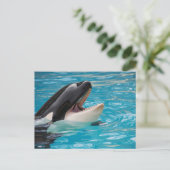 Carte postale Orca, Killer Whale (Debout devant)