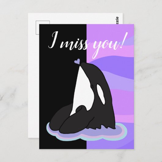 Carte Postale Orca Killer Whale (Devant / Derrière)