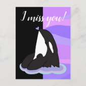 Carte Postale Orca Killer Whale (Devant)