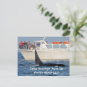 Carte Postale Orca Killer Whale -transitoire, washington (Debout devant)
