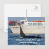 Carte Postale Orca Killer Whale -transitoire, washington (Devant / Derrière)