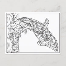 Carte postale Orca noir et blanc