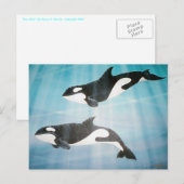 Carte Postale Orca Pair (Devant / Derrière)