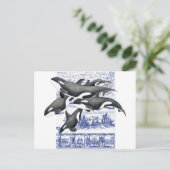 Carte Postale Orca Vintage (Debout devant)