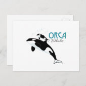 Carte Postale Orca Whales (Devant / Derrière)