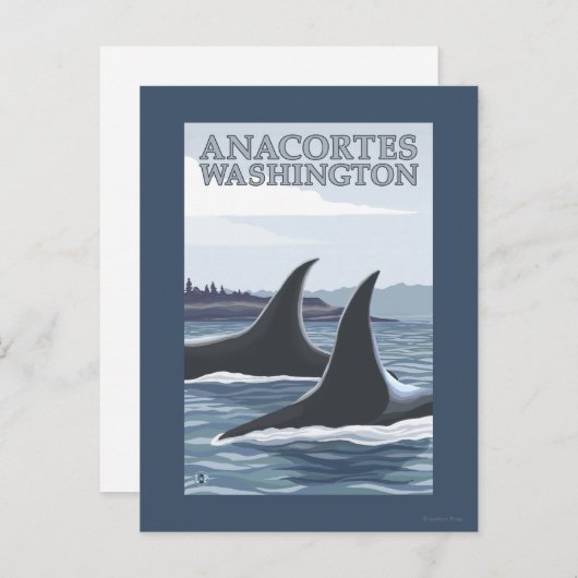 Carte Postale Orca Whales #1 - Anacortes, Washington (Devant / Derrière)