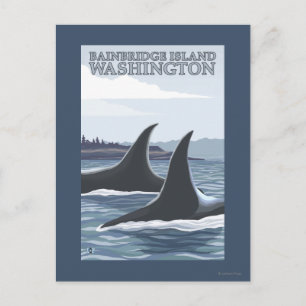 Carte Postale Orca Whales #1 - Bainbridge Island, Washington