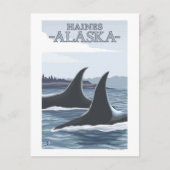 Carte Postale Orca Whales #1 - Haines, Alaska (Devant)