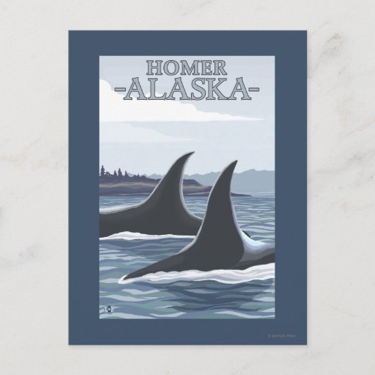 Carte Postale Orca Whales #1 - Homer, Alaska (Devant)