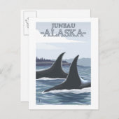 Carte Postale Orca Whales #1 - Juneau, Alaska (Devant / Derrière)