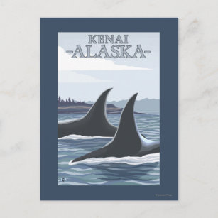 Carte Postale Orca Whales #1 - Kenai, Alaska