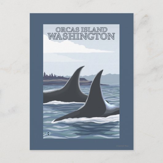 Carte Postale Orca Whales #1 - Orcas Island, Washington (Devant)