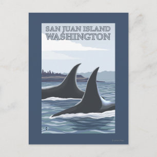 Carte Postale Orca Whales #1 - San Juan Island, Washington