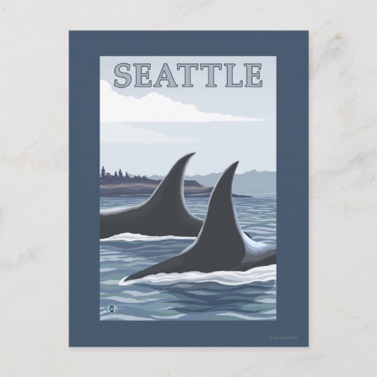 Carte Postale Orca Whales #1 - Seattle, Washington (Devant)