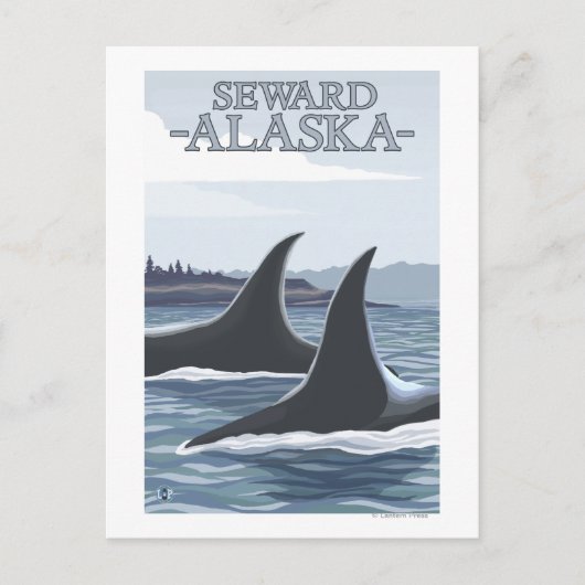Carte Postale Orca Whales #1 - Sewing, Alaska (Devant)