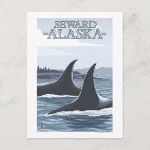 Carte Postale Orca Whales #1 - Sewing, Alaska