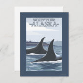 Carte Postale Orca Whales #1 - Whittier, Alaska (Devant / Derrière)