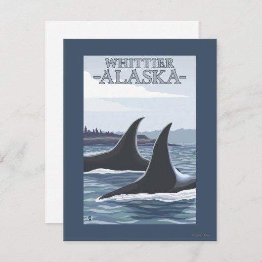 Carte Postale Orca Whales #1 - Whittier, Alaska (Devant / Derrière)