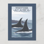 Carte Postale Orca Whales #1 - Whittier, Alaska (Devant)
