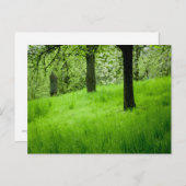 Carte postale Orchard (Devant / Derrière)