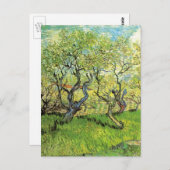 Carte Postale Orchard à Blossom par Vincent van Gogh (Devant / Derrière)