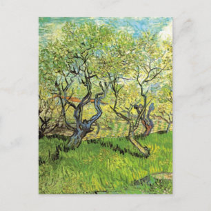 Carte Postale Orchard à Blossom par Vincent van Gogh