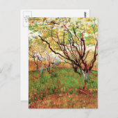 Carte Postale Orchard à Blossom par Vincent van Gogh (Devant / Derrière)