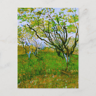 Carte Postale Orchard à Blossom, Vincent van Gogh
