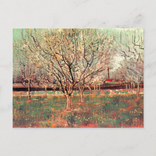 Carte Postale Orchard en Fleur, Plum Trees par Vincent van Gogh (Devant)