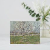 Carte Postale Orchard en fleurs Plum Trees par Vincent Van Gogh (Debout devant)