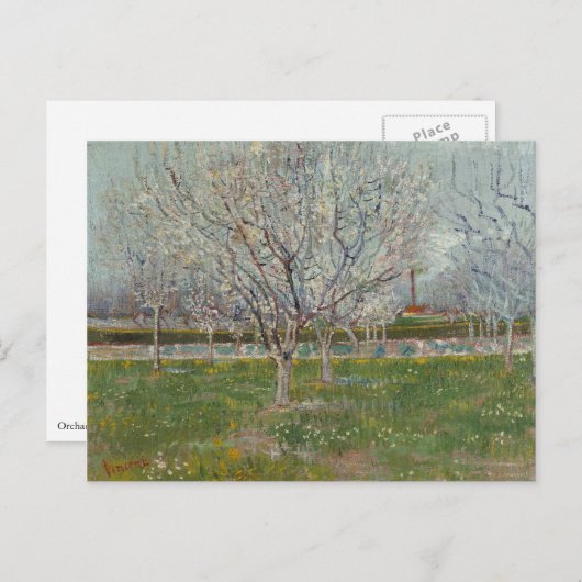Carte Postale Orchard en fleurs Plum Trees par Vincent Van Gogh (Devant / Derrière)