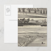 Carte Postale Orchard Farm, Somerville Lodge (Devant / Derrière)