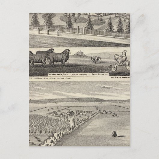 Carte Postale Orchard Farm, Somerville Lodge (Devant)
