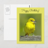 Carte Postale Orchard Oriole - Photo originale (Devant / Derrière)