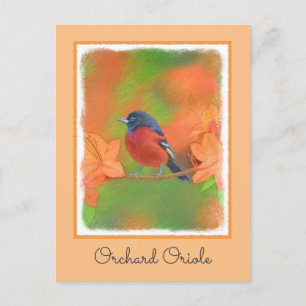 Carte Postale Orchard Oriole Songbird Peinture Oiseau original
