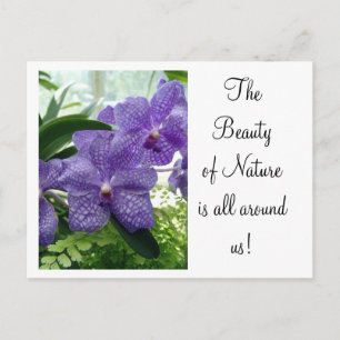 Carte Postale Orchard Violet