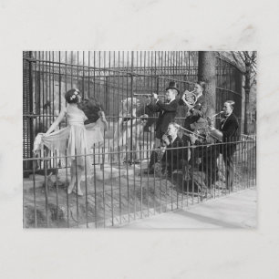Carte Postale Orchestre de jazz divertissant des ours polaires,