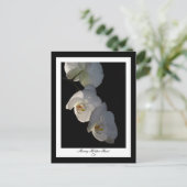 Carte postale Orchid 002 (Debout devant)