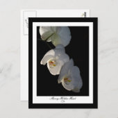 Carte postale Orchid 002 (Devant / Derrière)