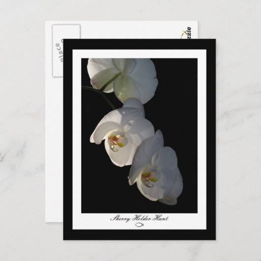 Carte postale Orchid 002 (Devant / Derrière)