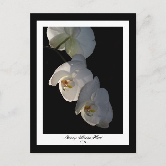Carte postale Orchid 002 (Devant)