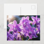 CARTE POSTALE ORCHID D'ORCHIDE DE LA DOMINICA (Devant / Derrière)