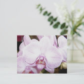 Carte postale Orchid Four (Debout devant)