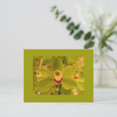 Carte Postale Orchid Green Cymbidium (Debout devant)