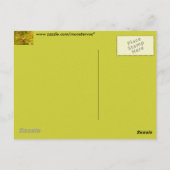 Carte Postale Orchid Green Cymbidium (Dos)