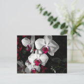 Carte Postale Orchid Queen (Debout devant)