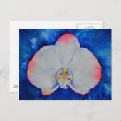 Carte Postale Orchid rose Blush (Devant / Derrière)