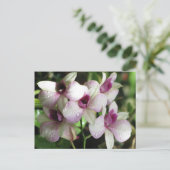 Carte postale Orchideas, personnaliser (Debout devant)