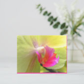 Carte Postale Orchidée (Debout devant)